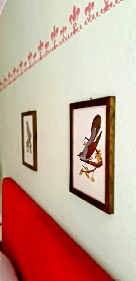 Branik Villa Katarina מראה חיצוני תמונה